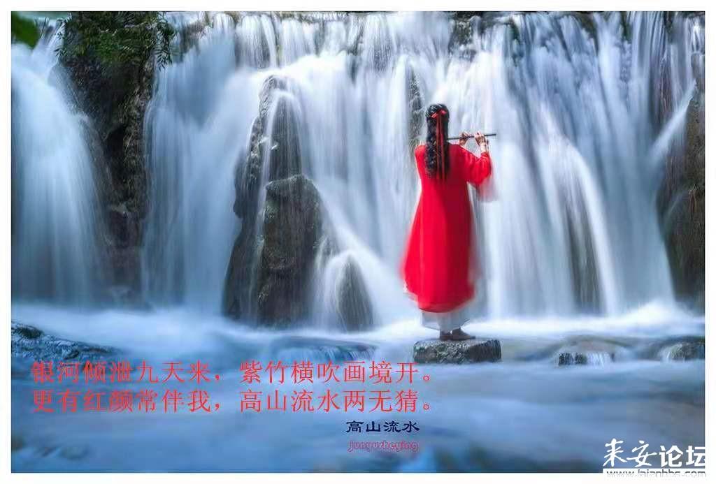 华为官宣:淘宝正式启动鸿蒙原生应用开发